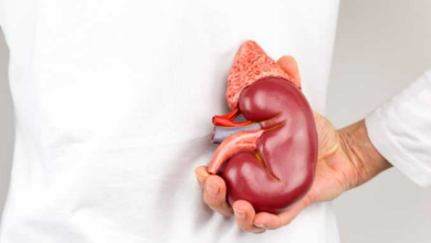 7 Important Functions of Your Kidneys 